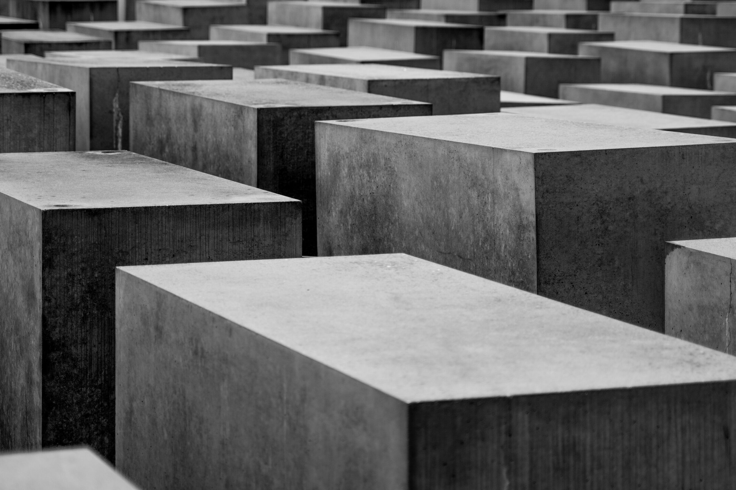 michael-fousert-l1Kku7W1EdY-unsplash